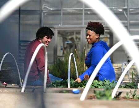 man and woman observing plants