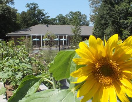 HopWay flower garden