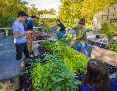 group of young adults watering and tending to plants in recreational therapy session