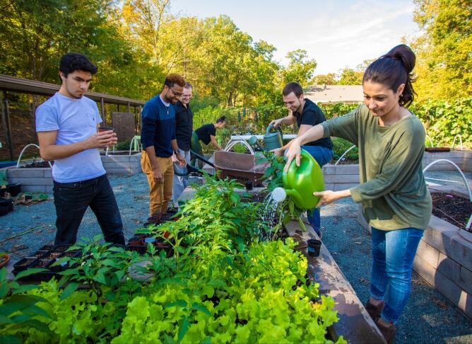 group participating in gardening therapy