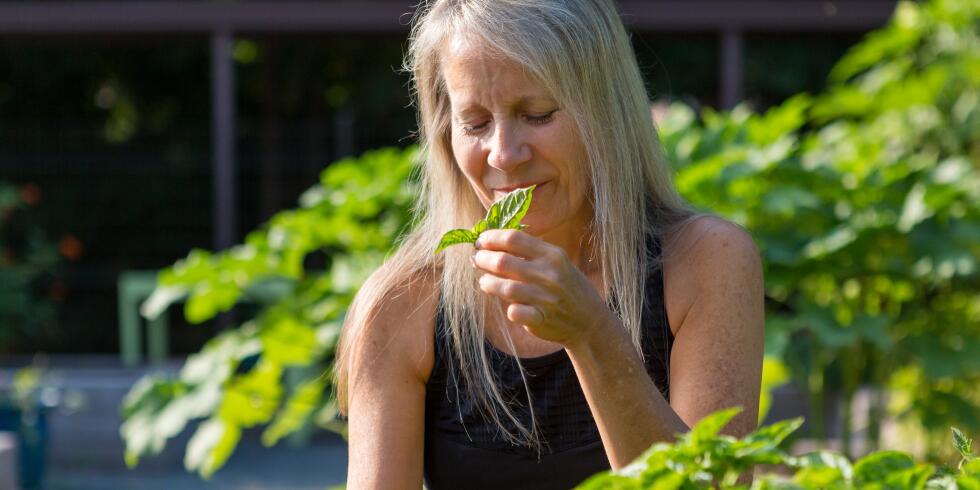 The Benefits of Horticultural Therapy