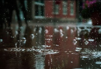 Standing in the Rain: Visualizing Mindful Meditation