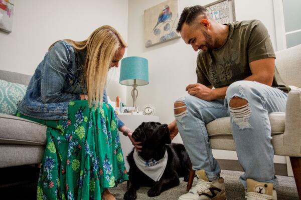 vet with therapy dog Olive